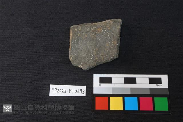 陶片藏品圖，第2張