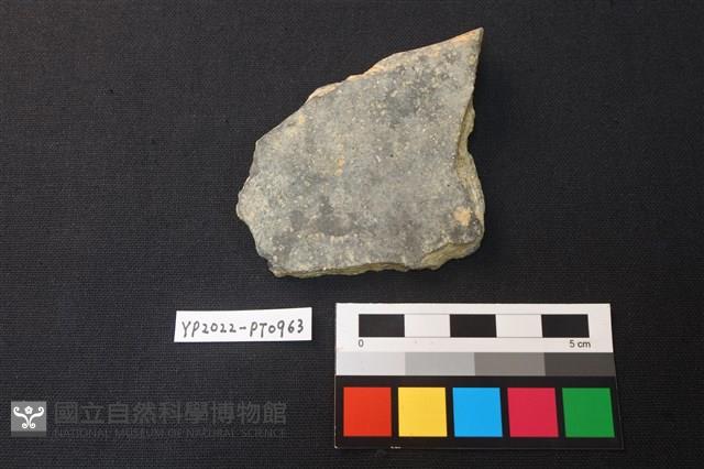 陶片藏品圖，第2張