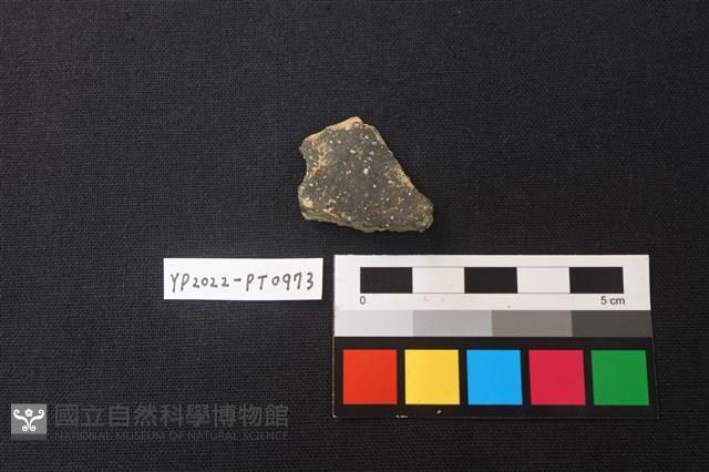 陶片藏品圖，第2張