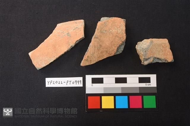陶片藏品圖，第2張