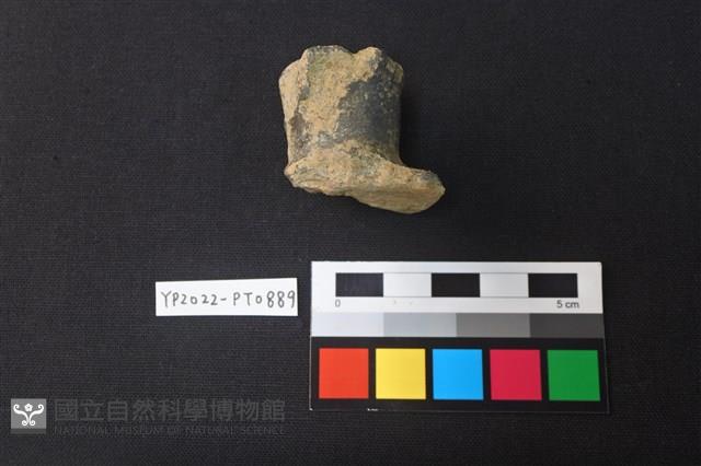 陶鈕藏品圖，第2張