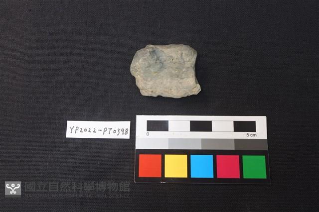 陶片藏品圖，第2張