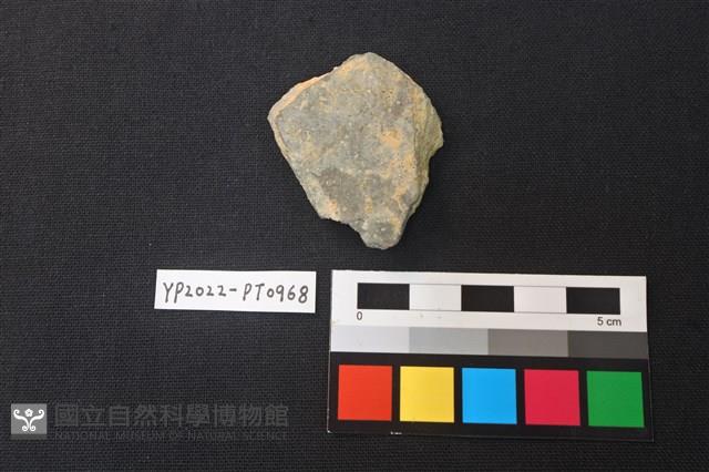 陶片藏品圖，第2張