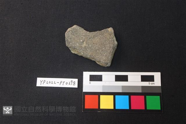 陶片藏品圖，第2張