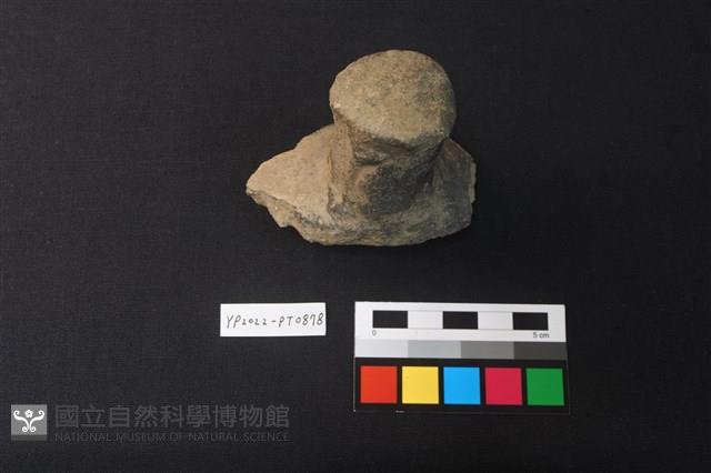 陶蓋鈕藏品圖，第2張