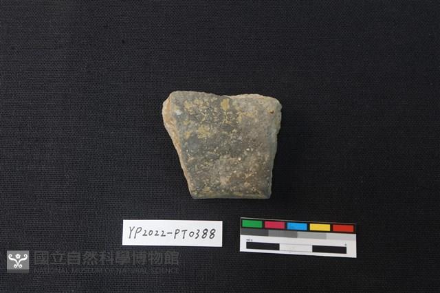 陶片藏品圖，第2張