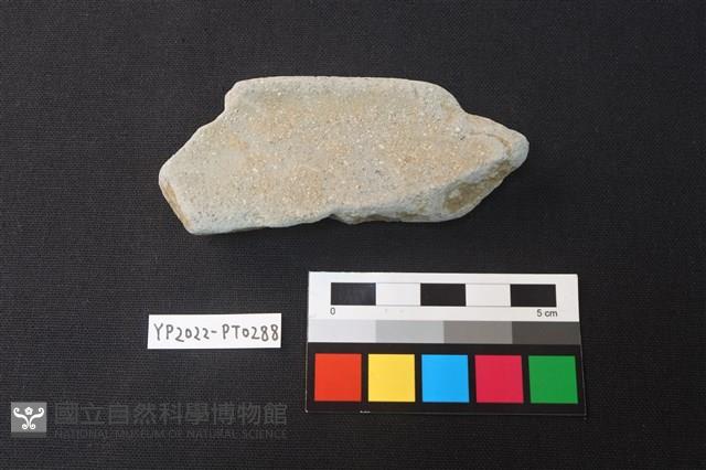 陶片藏品圖，第2張