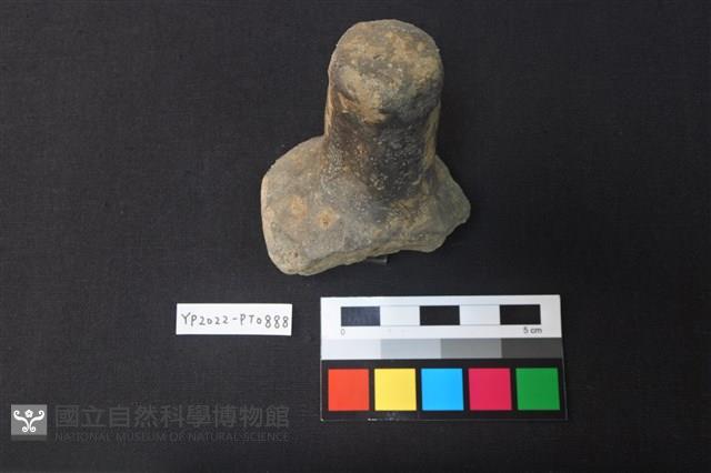 陶蓋鈕藏品圖，第2張