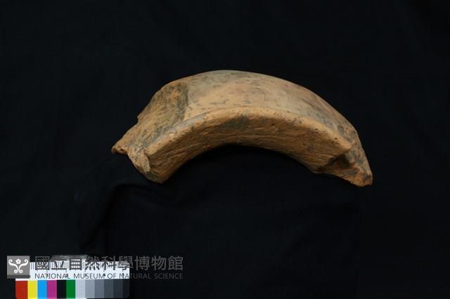 陶罐藏品圖，第3張