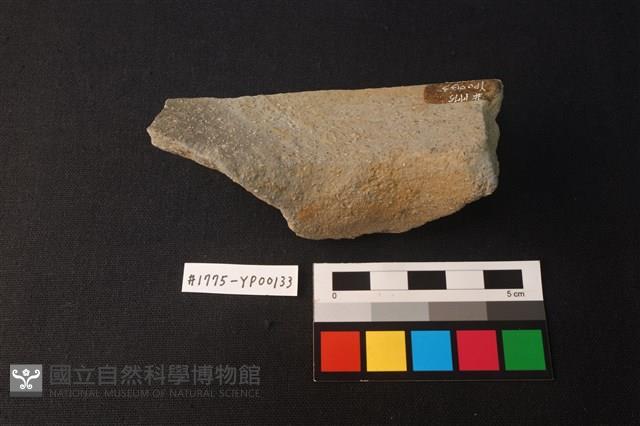 陶片藏品圖，第3張