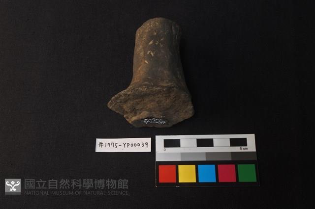 陶蓋把藏品圖，第3張