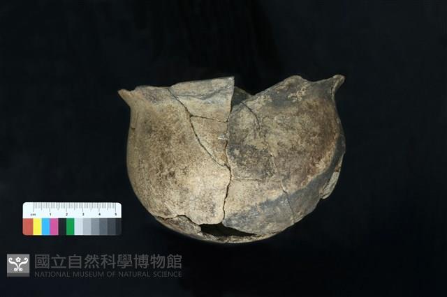 陶罐藏品圖，第3張
