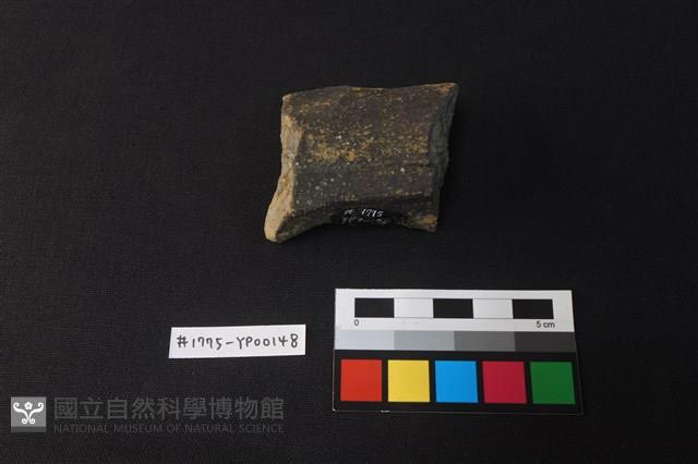 陶片藏品圖，第3張