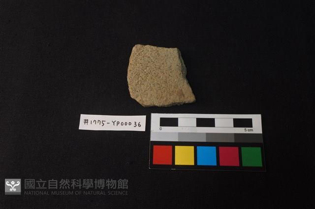 陶片藏品圖，第1張