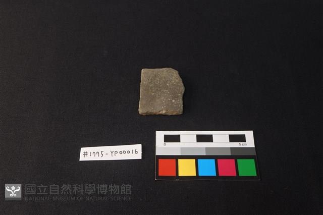 陶片藏品圖，第1張