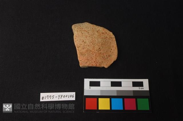 陶片藏品圖，第1張