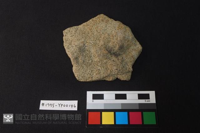 陶片藏品圖，第1張