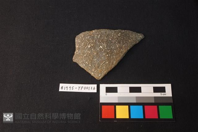 陶片藏品圖，第1張