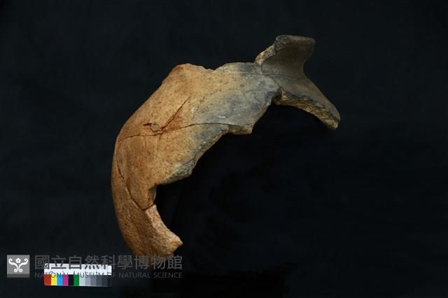 陶罐藏品圖，第1張