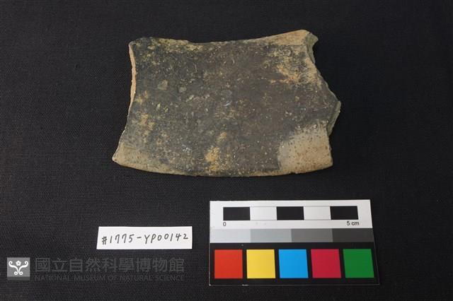 陶片藏品圖，第1張