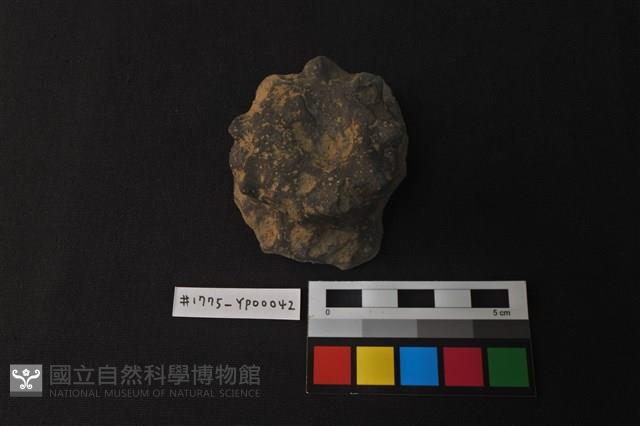 陶蓋把藏品圖，第1張