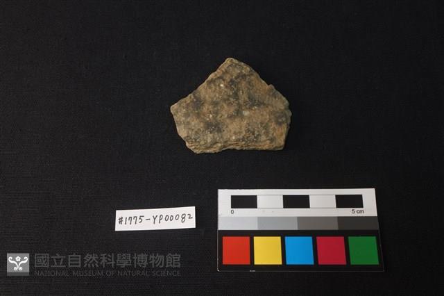 陶片藏品圖，第1張