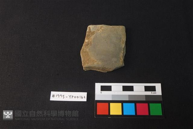 陶片藏品圖，第1張
