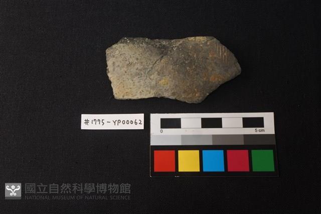 陶片藏品圖，第1張