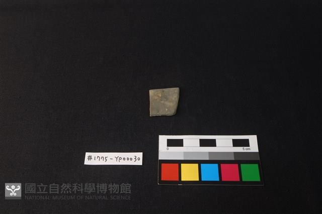 陶片藏品圖，第1張