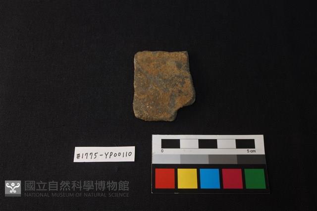 陶片藏品圖，第1張