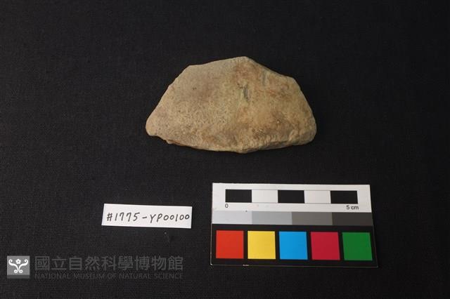 陶片藏品圖，第1張