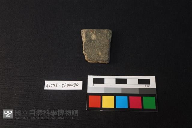 陶片藏品圖，第1張
