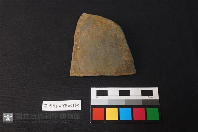 陶片藏品圖，第1張