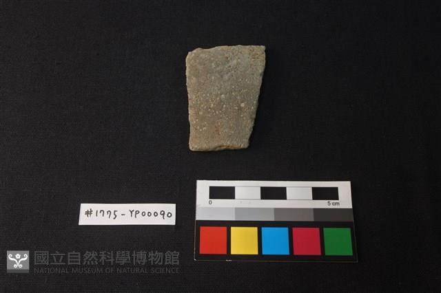 陶片藏品圖，第1張