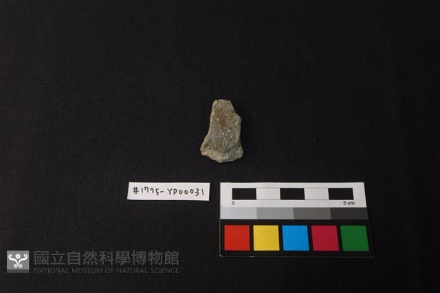 陶片藏品圖，第1張
