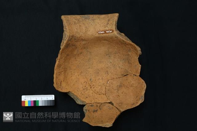 陶罐藏品圖，第1張