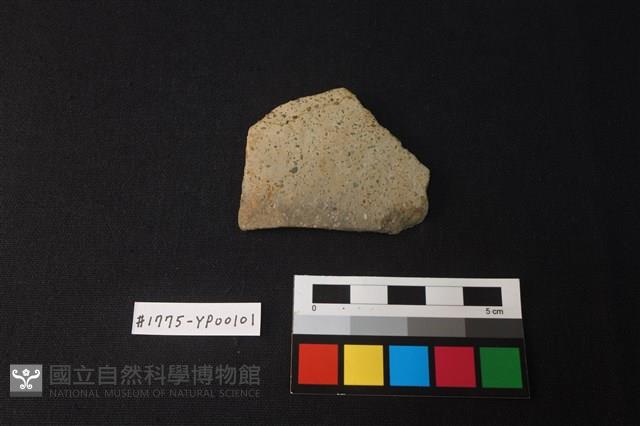 陶片藏品圖，第1張