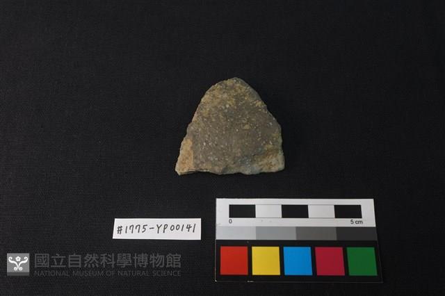 陶片藏品圖，第1張