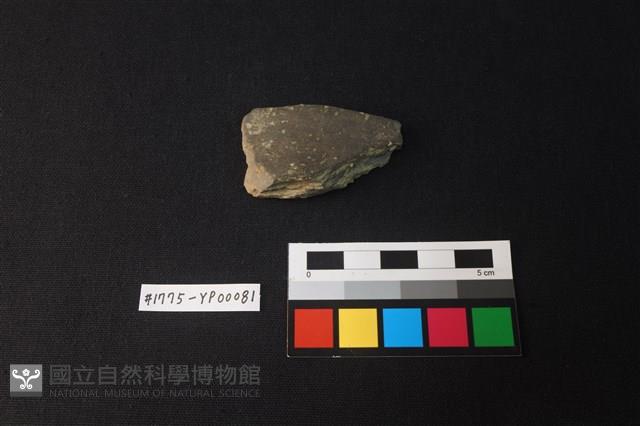 陶片藏品圖，第1張