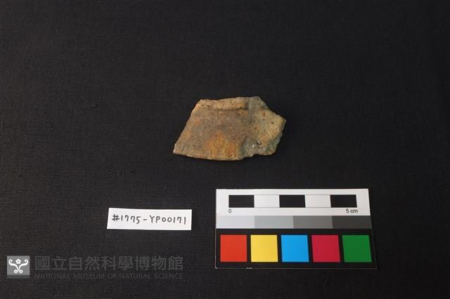 陶片藏品圖，第1張