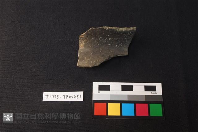 陶片藏品圖，第1張