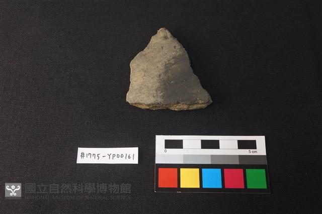 陶片藏品圖，第1張