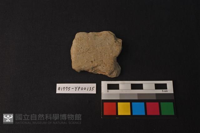 陶片藏品圖，第1張
