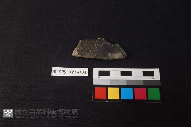 陶片藏品圖，第1張