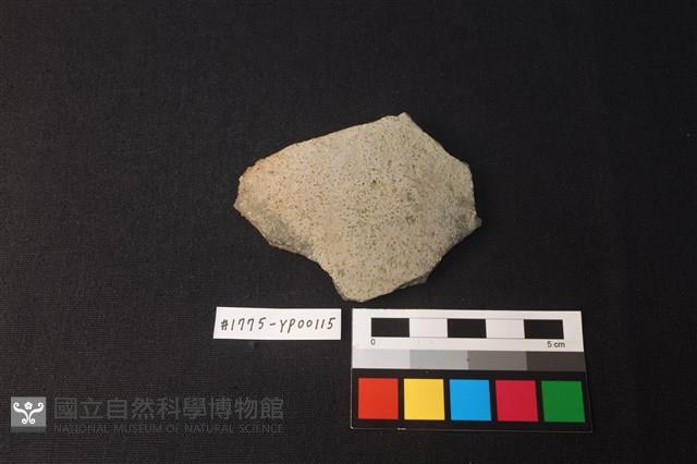 陶片藏品圖，第1張