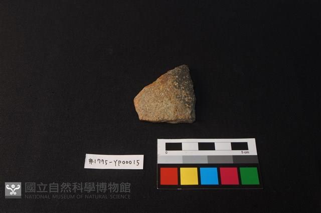 陶片藏品圖，第1張