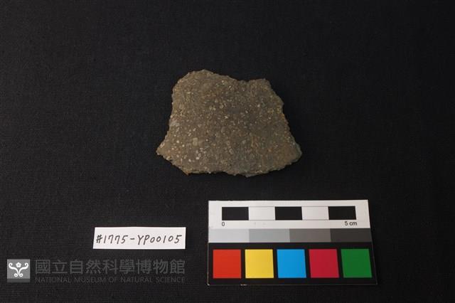 陶片藏品圖，第1張