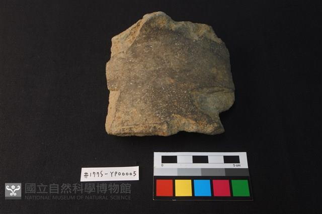 陶片藏品圖，第1張
