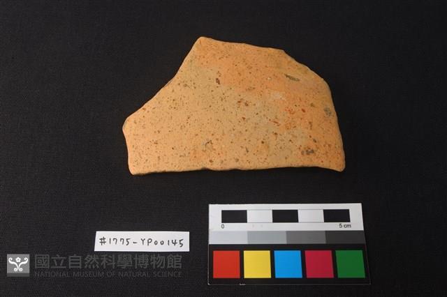 陶片藏品圖，第1張