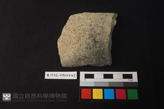 陶片藏品圖，第1張